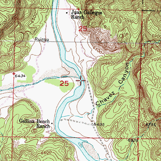 Topographic Map of Rio Gallina, NM