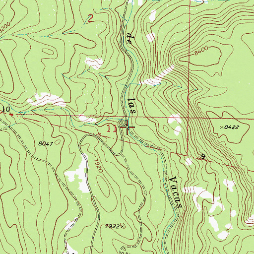 Topographic Map of Rito del Indio, NM