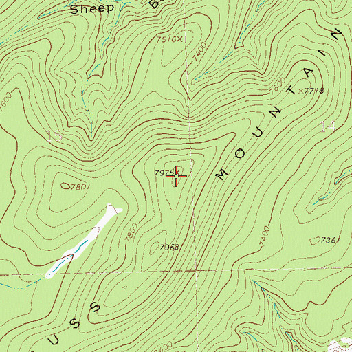 Topographic Map of Russ Mountain, NM