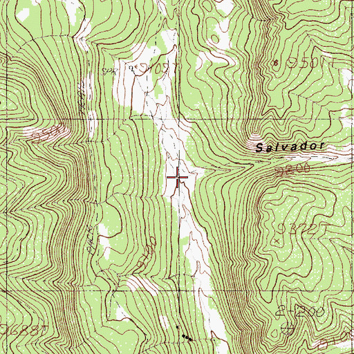 Topographic Map of Salavador Canyon, NM