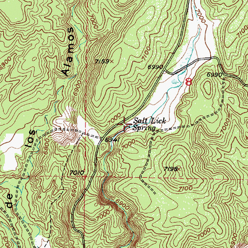 Topographic Map of Salt Lick Spring, NM