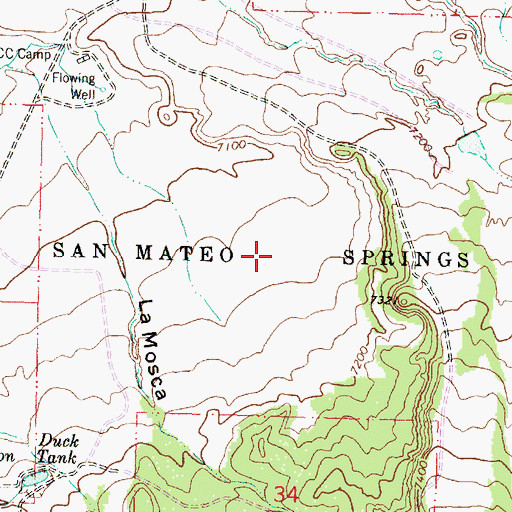 Topographic Map of San Mateo Springs Grant, NM