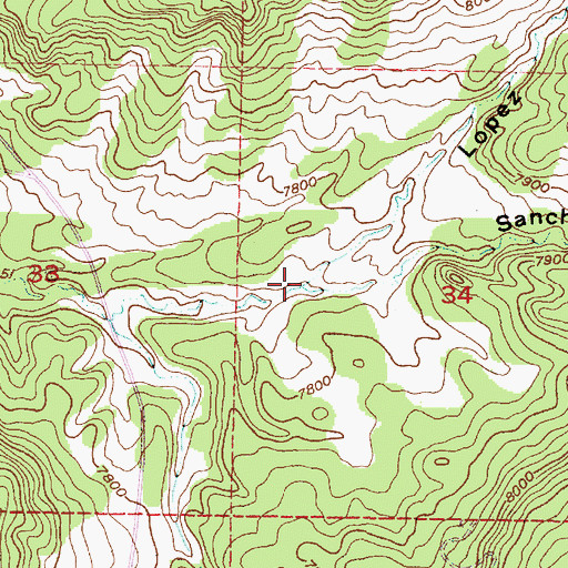 Topographic Map of Sanchez Canyon, NM