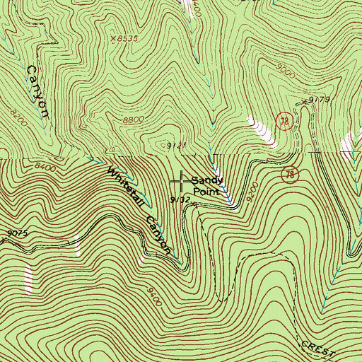 Topographic Map of Sandy Point, NM