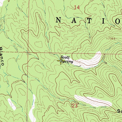 Topographic Map of Scott Spring, NM