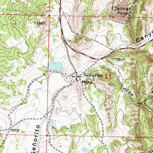 Topographic Map of Seorito, NM