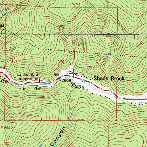 Topographic Map of Shady Brook, NM