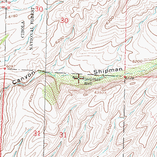 Topographic Map of Shipman Well, NM