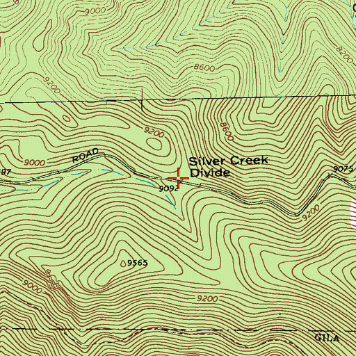 Topographic Map of Silver Creek Divide, NM