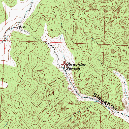 Topographic Map of Slaughter Spring, NM