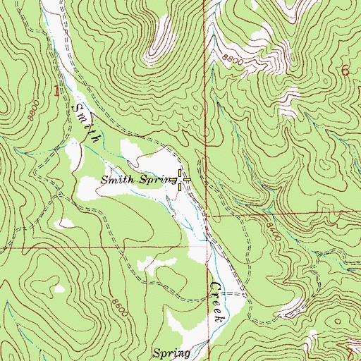 Topographic Map of Smith Spring, NM
