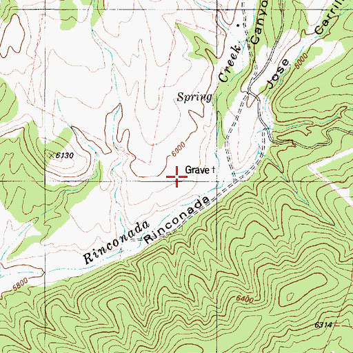 Topographic Map of South Rinconada Canyon, NM