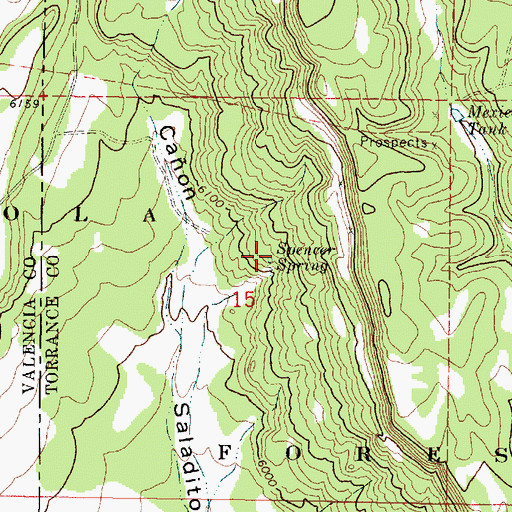 Topographic Map of Spencer Spring, NM
