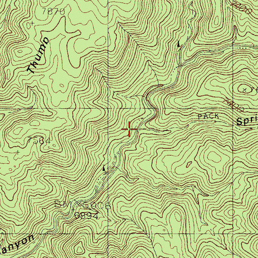 Topographic Map of Spring Canyon, NM