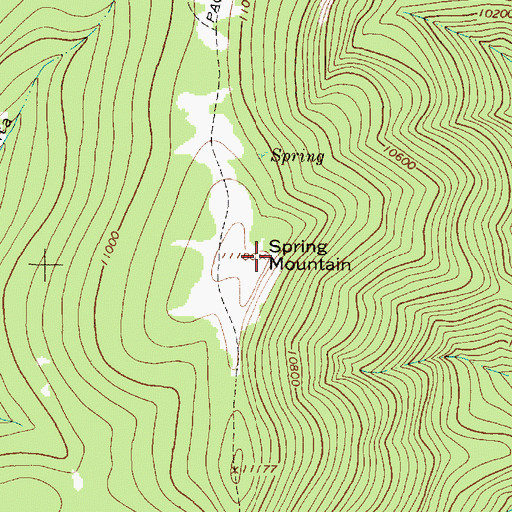 Topographic Map of Spring Mountain, NM