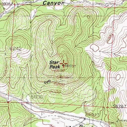 Topographic Map of Star Peak, NM