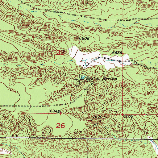 Topographic Map of Statue Spring, NM