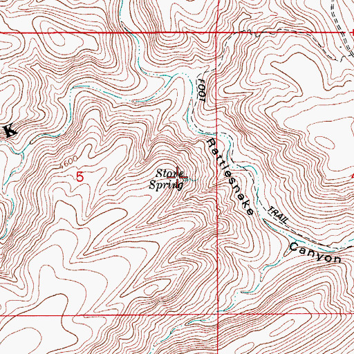 Topographic Map of Stone Spring, NM