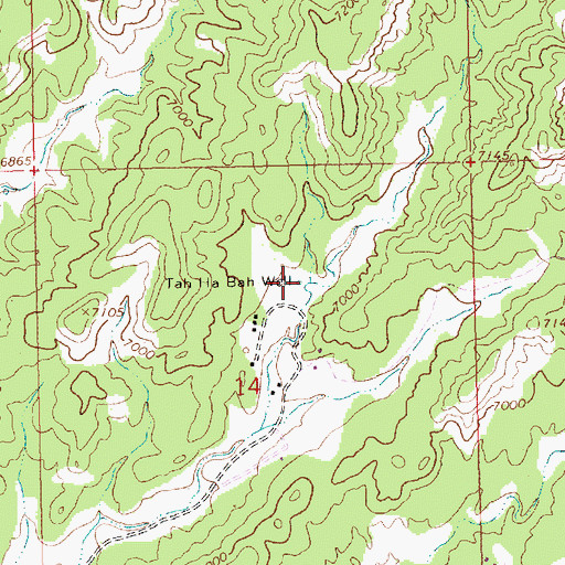 Topographic Map of Tah Ha Bah Well, NM
