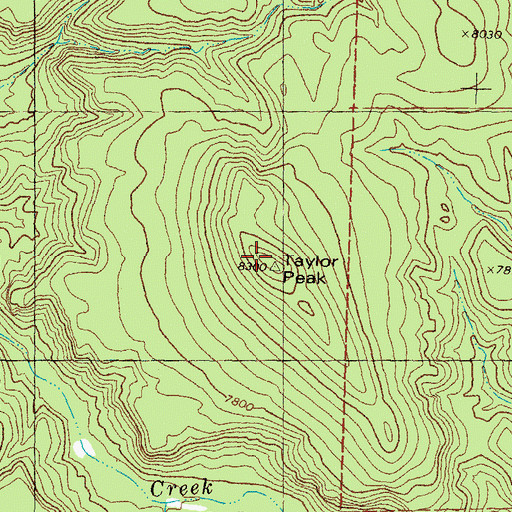 Topographic Map of Taylor Peak, NM