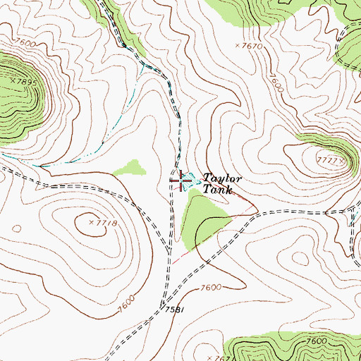 Topographic Map of Taylor Tank, NM