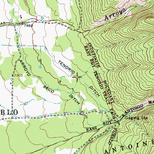 Topographic Map of Tenorio Ditch, NM