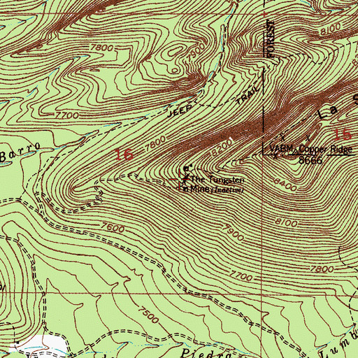 Topographic Map of The Tungsten Mine, NM