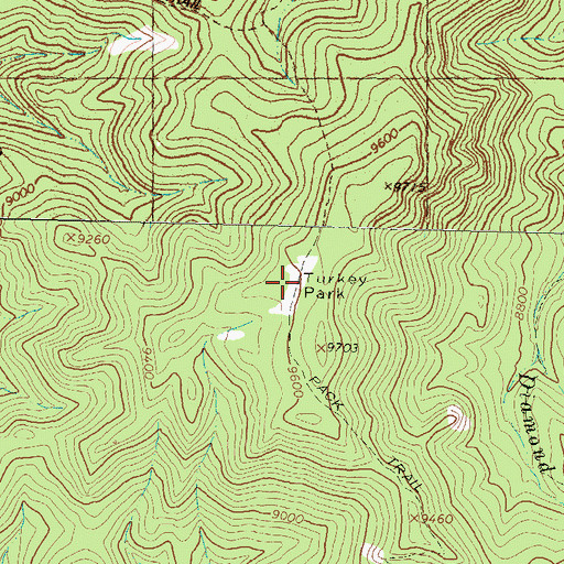 Topographic Map of Turkey Park, NM