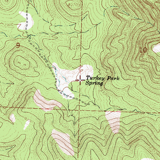 Topographic Map of Turkey Park Spring, NM