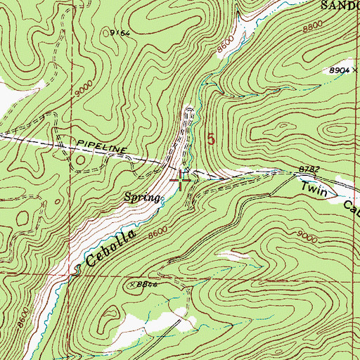 Topographic Map of Twin Cabins Canyon, NM