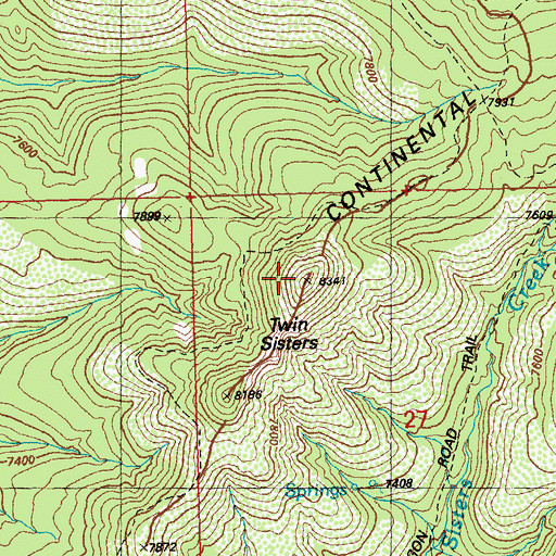 Topographic Map of Twin Sisters, NM