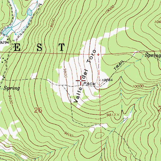 Topographic Map of Valle del Toro, NM