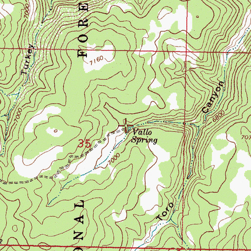 Topographic Map of Vallo Spring, NM