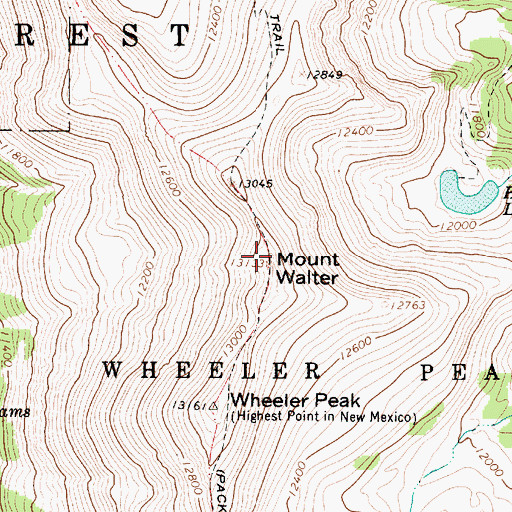 Topographic Map of Mount Walter, NM