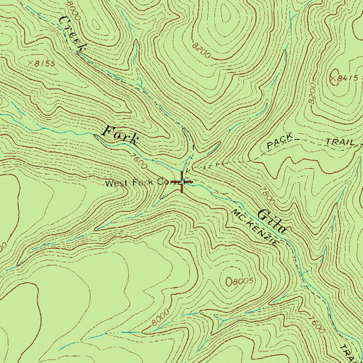 Topographic Map of West Fork Corral, NM