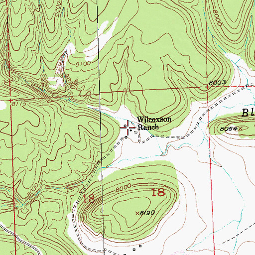 Topographic Map of Wilcoxson Ranch, NM