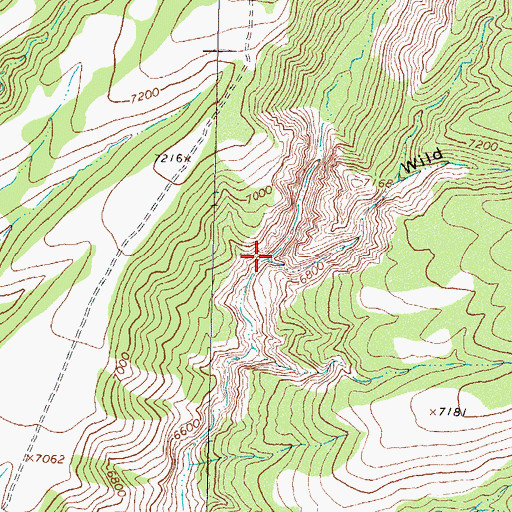 Topographic Map of Wild Horse Canyon, NM