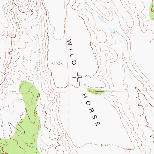 Topographic Map of Wild Horse Mesa, NM