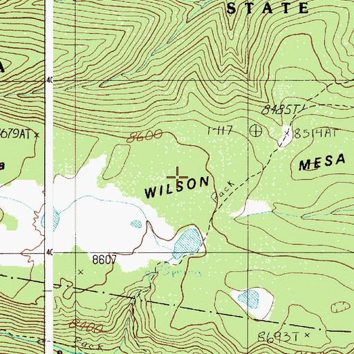 Topographic Map of Wilson Mesa, NM