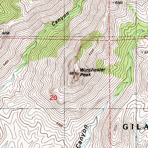 Topographic Map of Winchester Peak, NM
