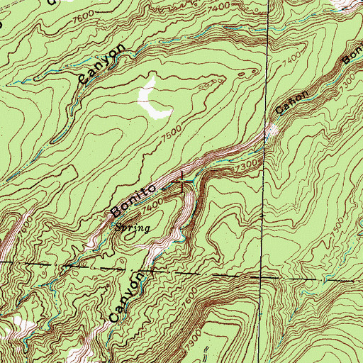 Topographic Map of Wrinkle Canyon, NM