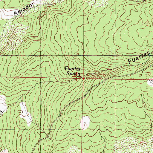 Topographic Map of Fuertes Spring, NM