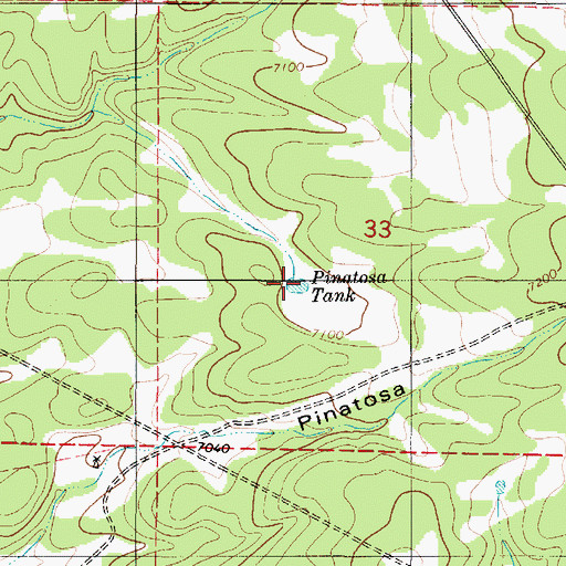 Topographic Map of Pinatosa Tank, NM