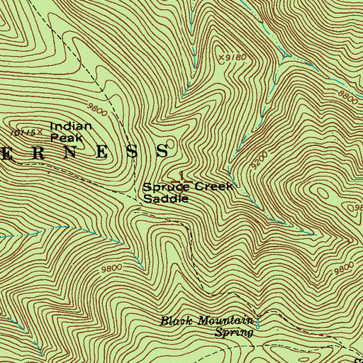 Topographic Map of Spruce Creek Saddle, NM
