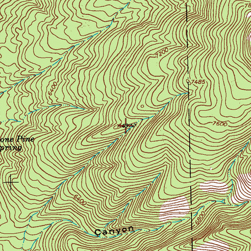 Topographic Map of Cave Tank, NM