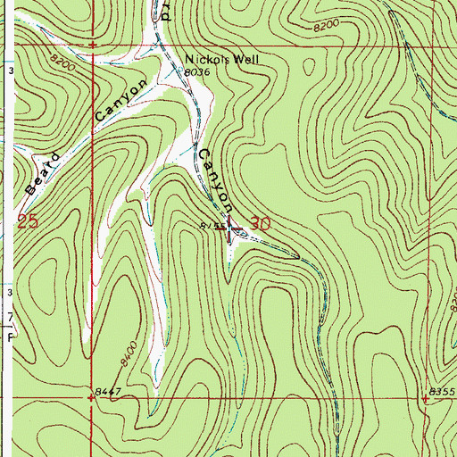 Topographic Map of Baird Canyon Tank, NM
