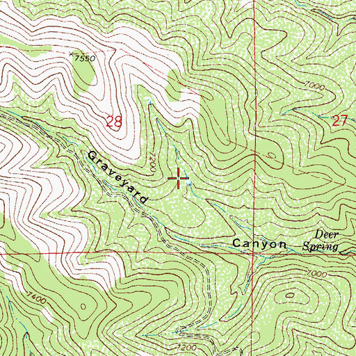 Topographic Map of Deer Canyon Tank, NM