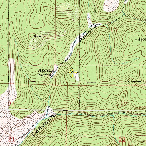 Topographic Map of Apache Spring, NM