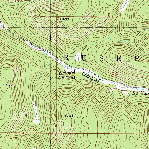 Topographic Map of Eclode Spring, NM