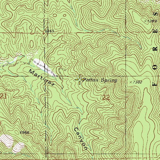 Topographic Map of Patton Spring, NM